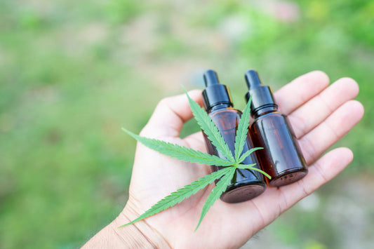 Answering Your Top 5 FAQs About PIP Wellness