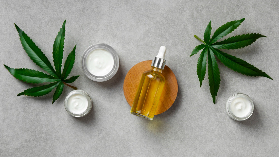 Everything You Need to Know About PIP Wellness Intimate Oils