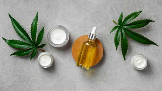 Everything You Need to Know About PIP Wellness Intimate Oils