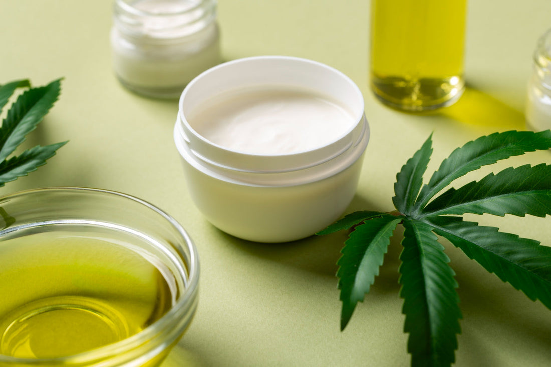 Discover the Next-Level CBD Experience with PIP Wellness