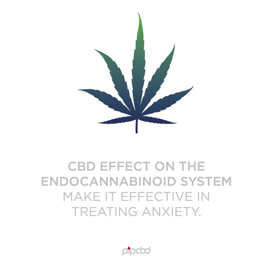 CBD May Ease Menstrual-Related Symptoms Like Irritability And Stress, Study Finds