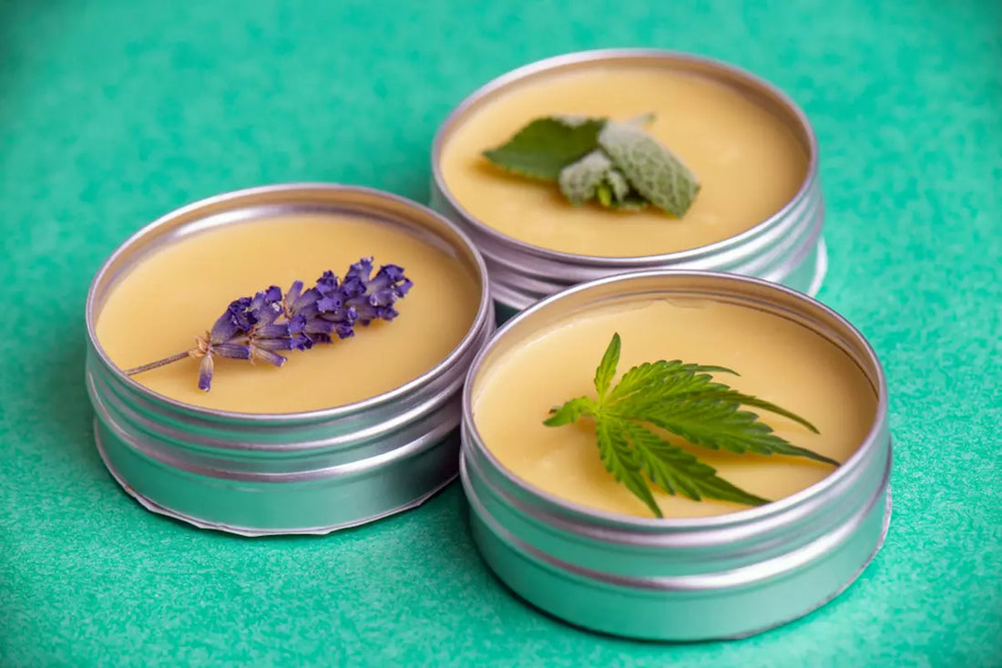 Cannabis salve made from CBD oils